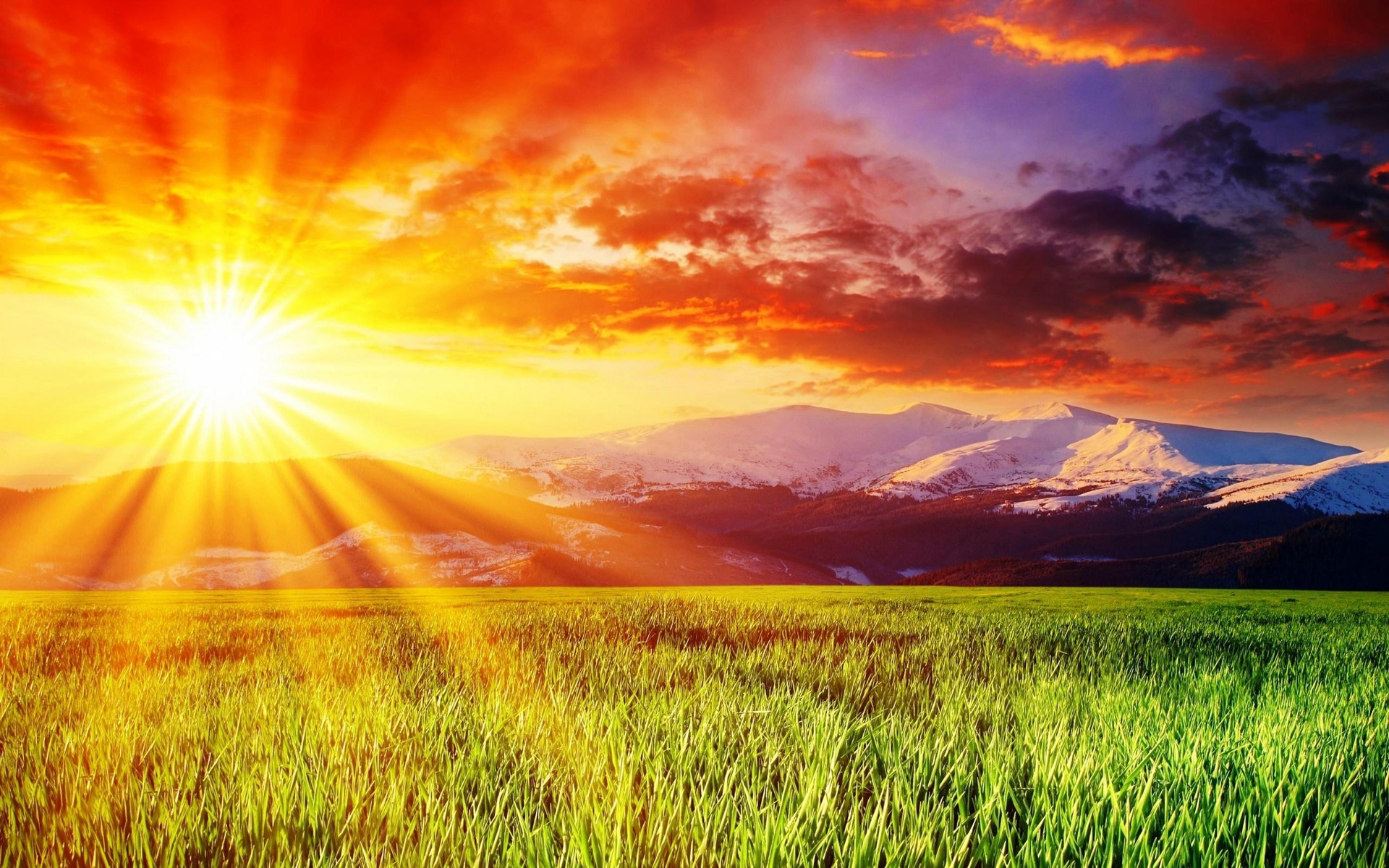 Paysage de champ verdoyant avec des montagnes enneigées sous un ciel rouge et orange éclatant au coucher du soleil, ambiance dramatique et lumineuse